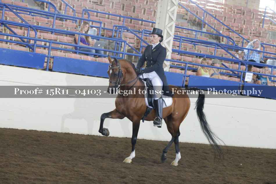 Proof 15R11_04103