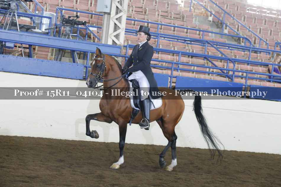 Proof 15R11_04104