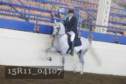 15R11_04107 proof