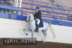 15R11_04109 proof