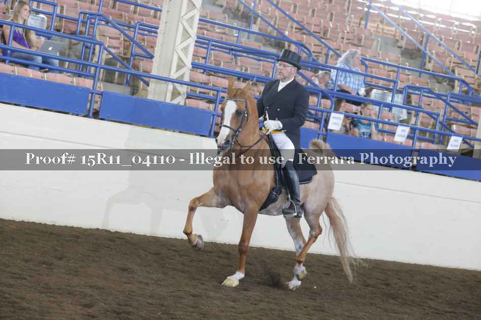 Proof 15R11_04110