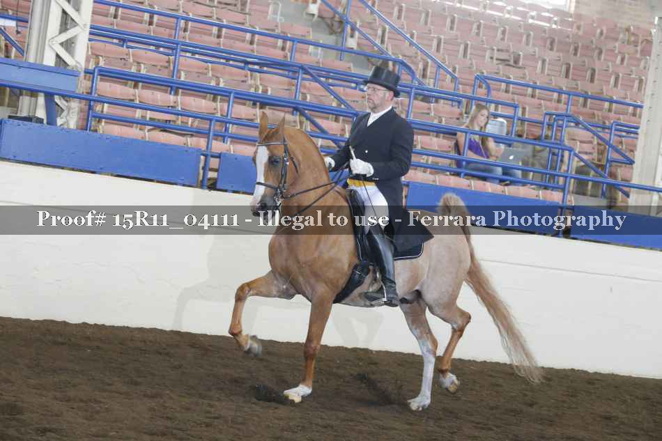 Proof 15R11_04111