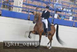 15R11_04113 proof
