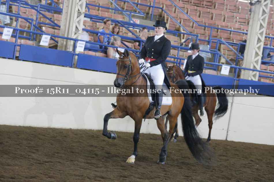 Proof 15R11_04115