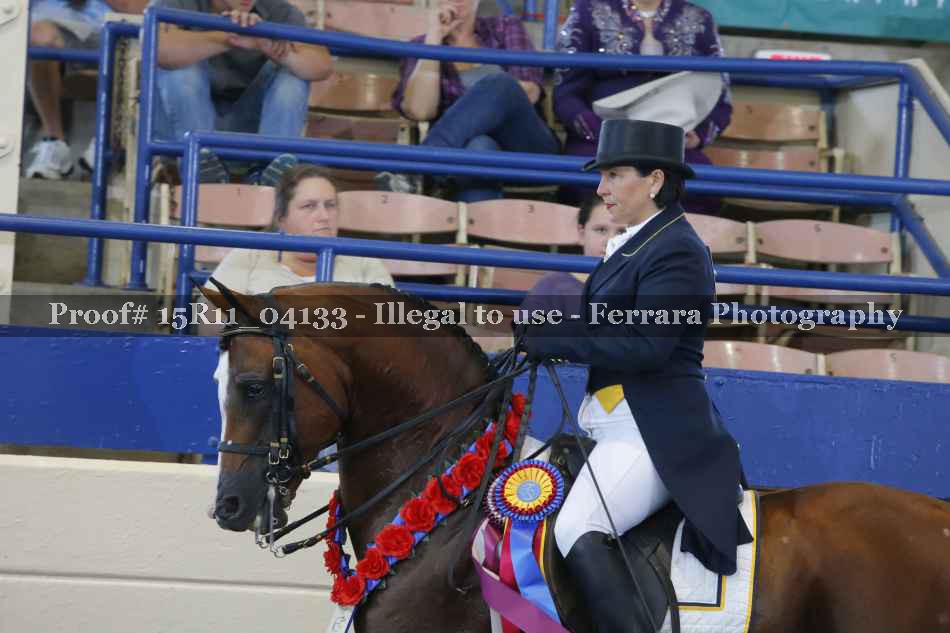 Proof 15R11_04133