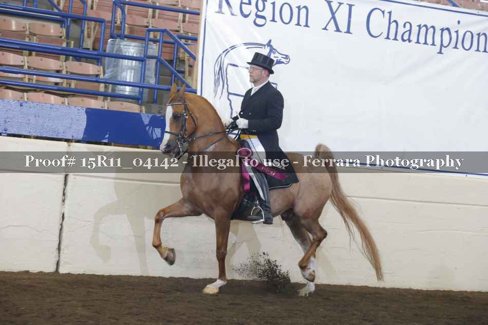 Proof 15R11_04142