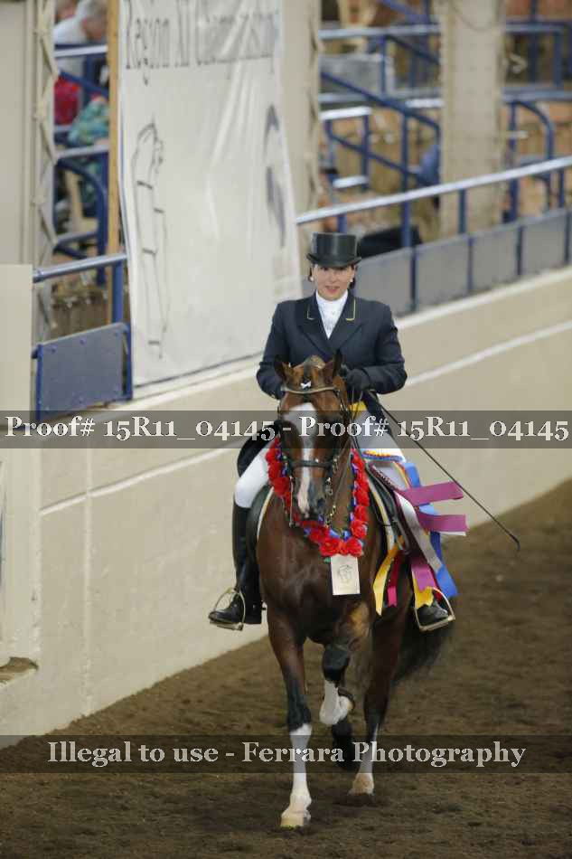 Proof 15R11_04145