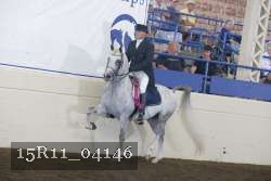 15R11_04146 proof