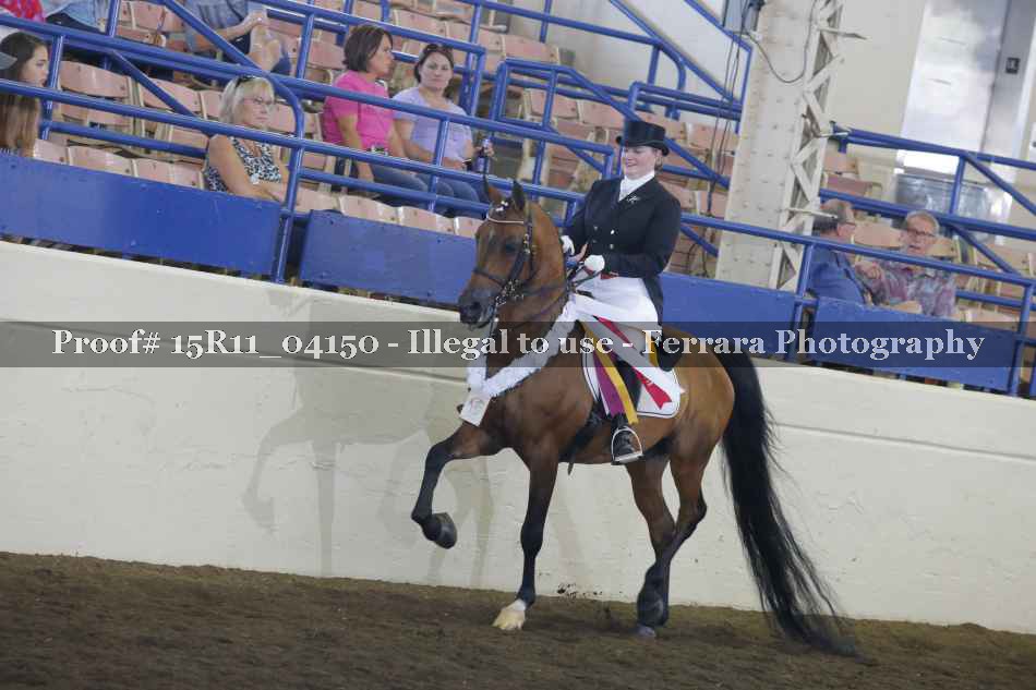Proof 15R11_04150