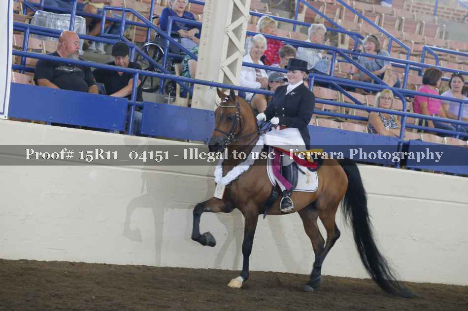Proof 15R11_04151