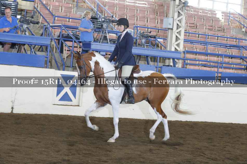 Proof 15R11_04164