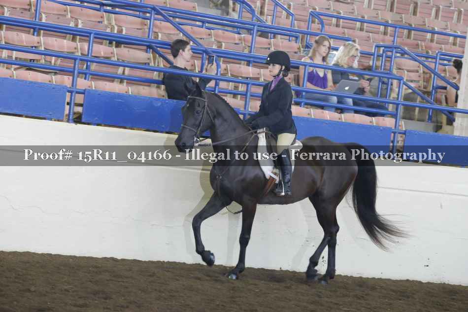 Proof 15R11_04166