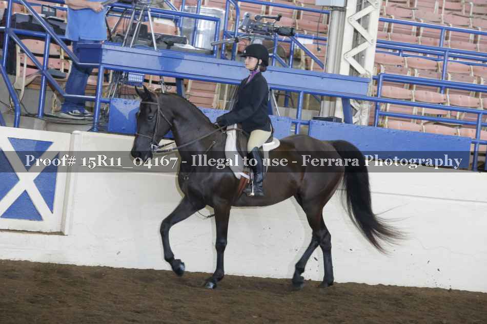 Proof 15R11_04167
