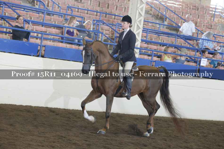 Proof 15R11_04169