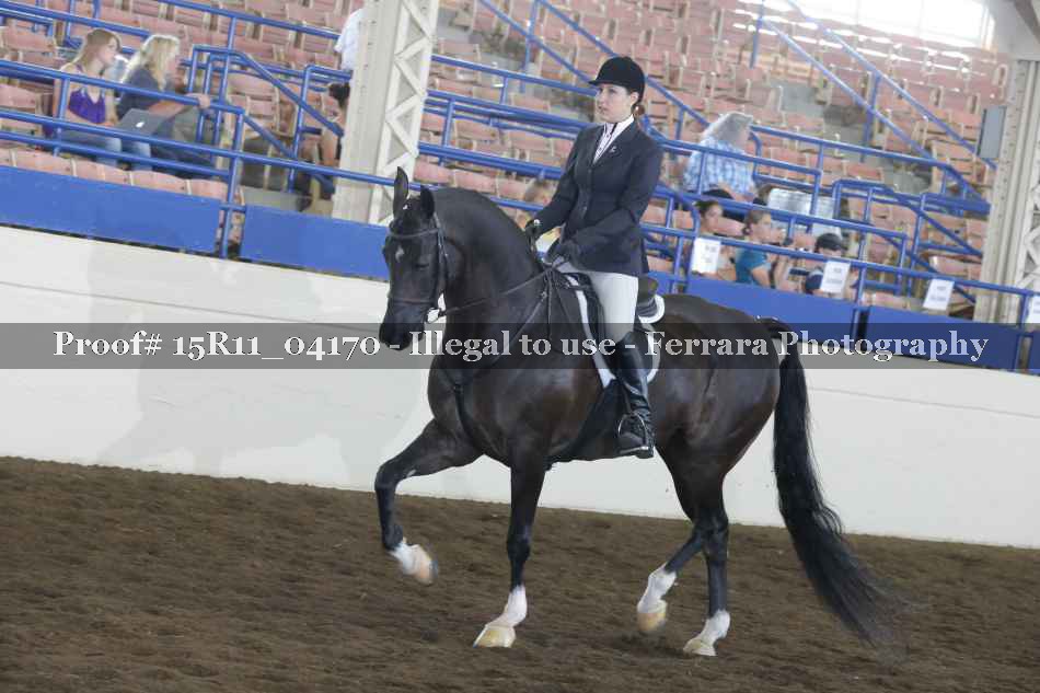 Proof 15R11_04170