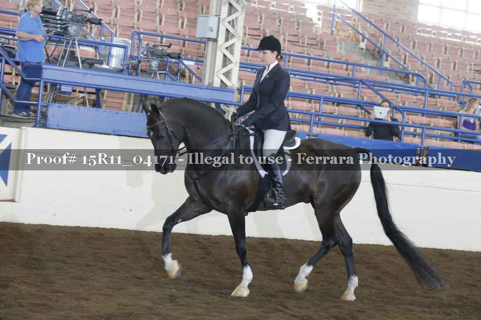 Proof 15R11_04171