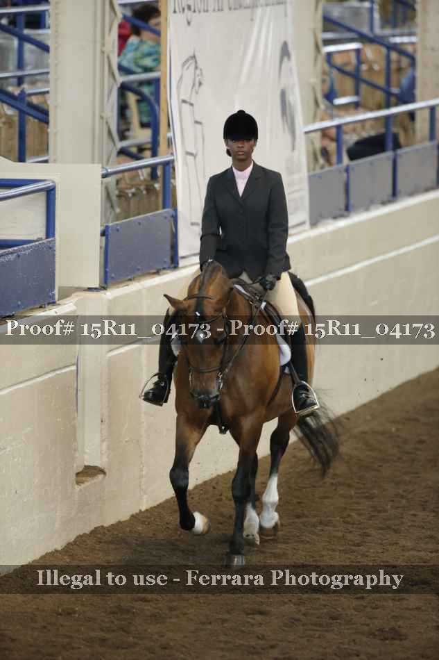 Proof 15R11_04173