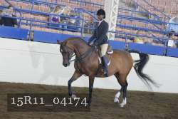 15R11_04174 proof