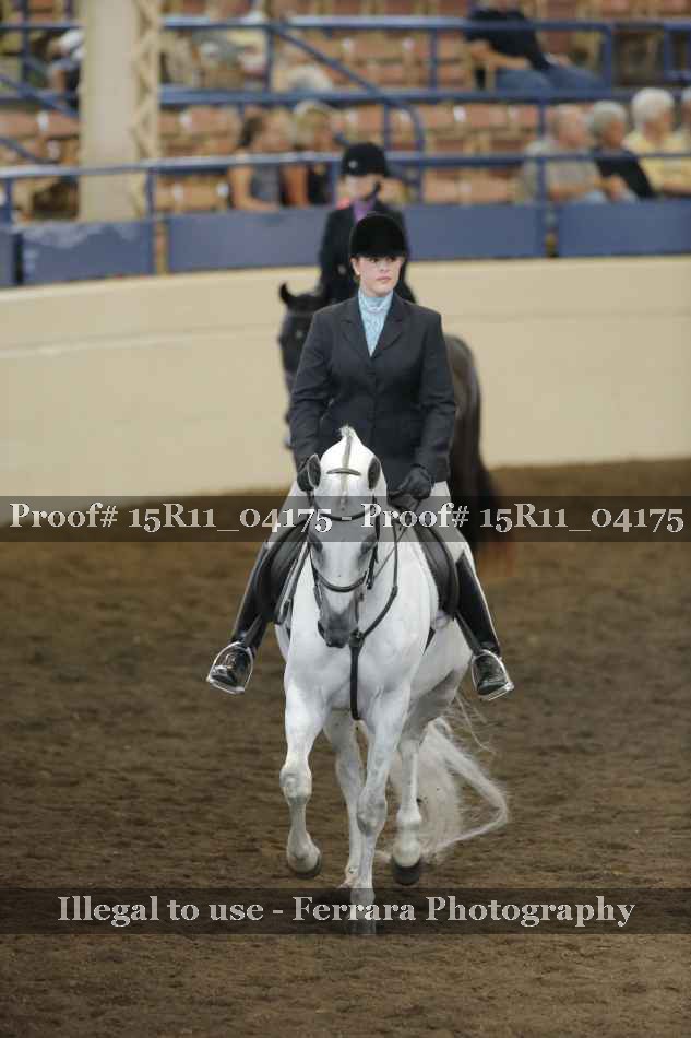 Proof 15R11_04175