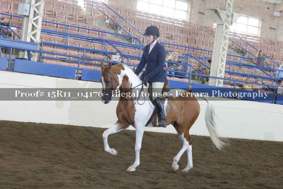 Proof 15R11_04176