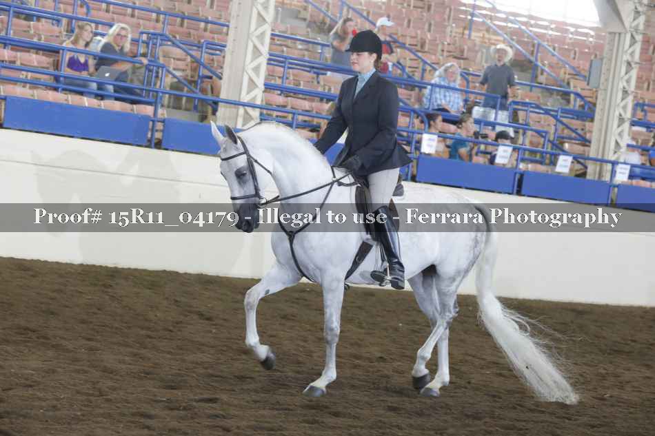 Proof 15R11_04179