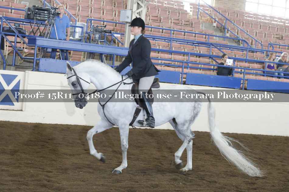 Proof 15R11_04180