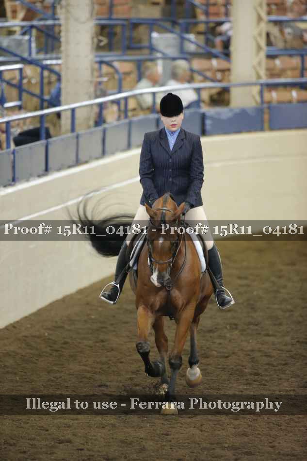 Proof 15R11_04181