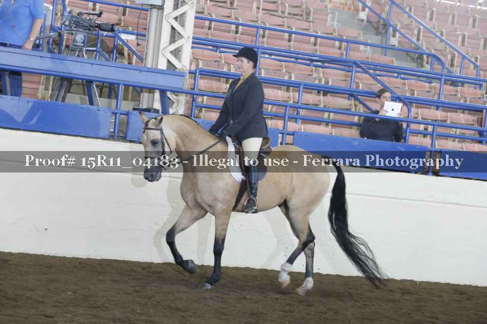 Proof 15R11_04183