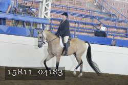 15R11_04183 proof