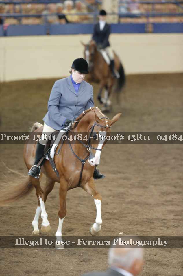 Proof 15R11_04184