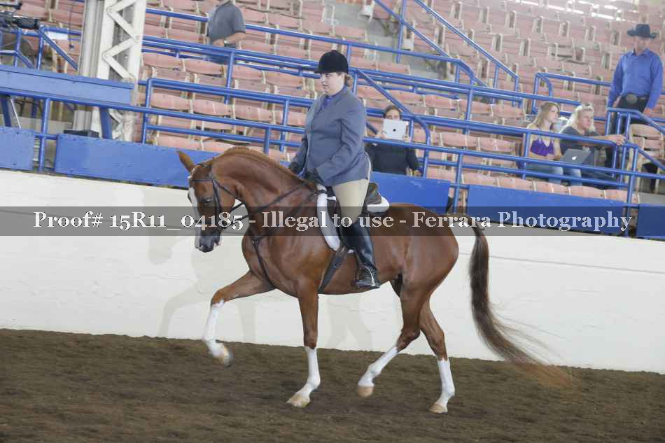 Proof 15R11_04185