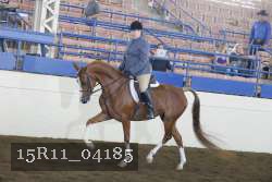 15R11_04185 proof