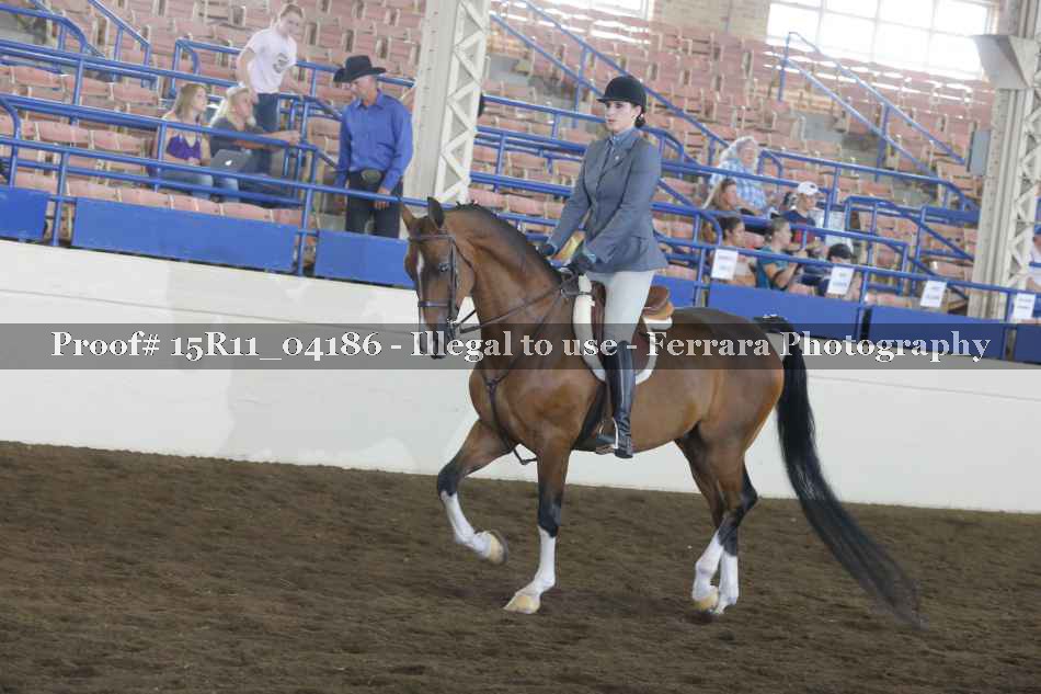 Proof 15R11_04186
