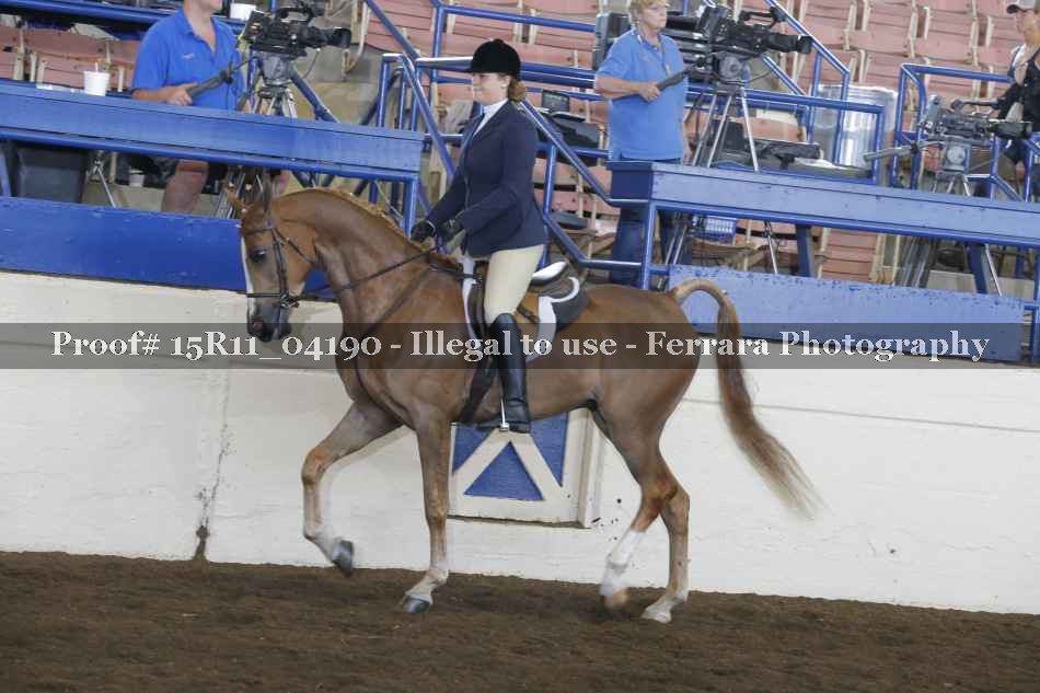 Proof 15R11_04190