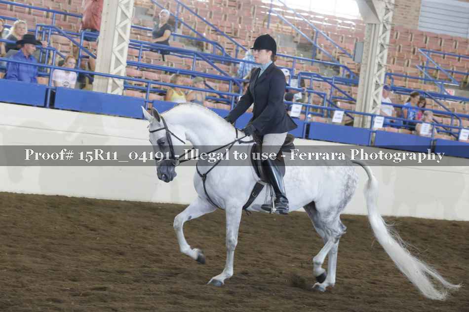 Proof 15R11_04191