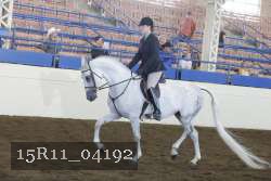 15R11_04192 proof