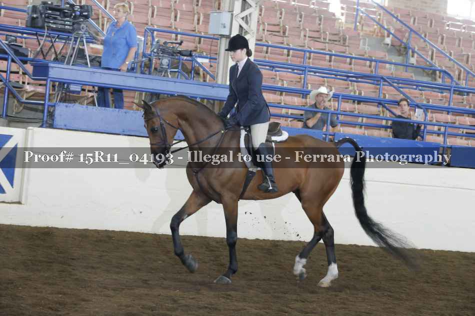 Proof 15R11_04193