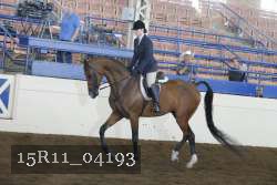 15R11_04193 proof