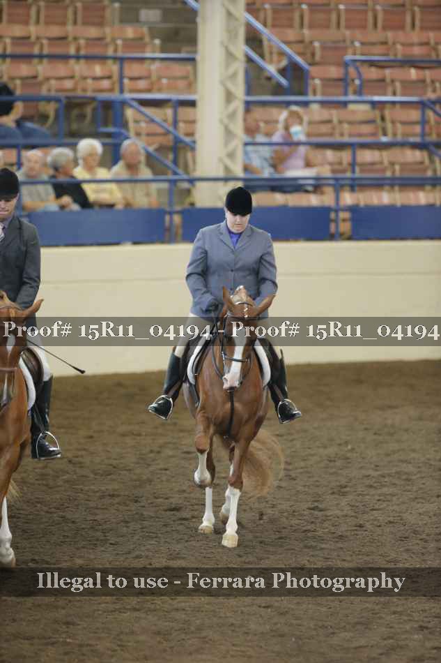 Proof 15R11_04194