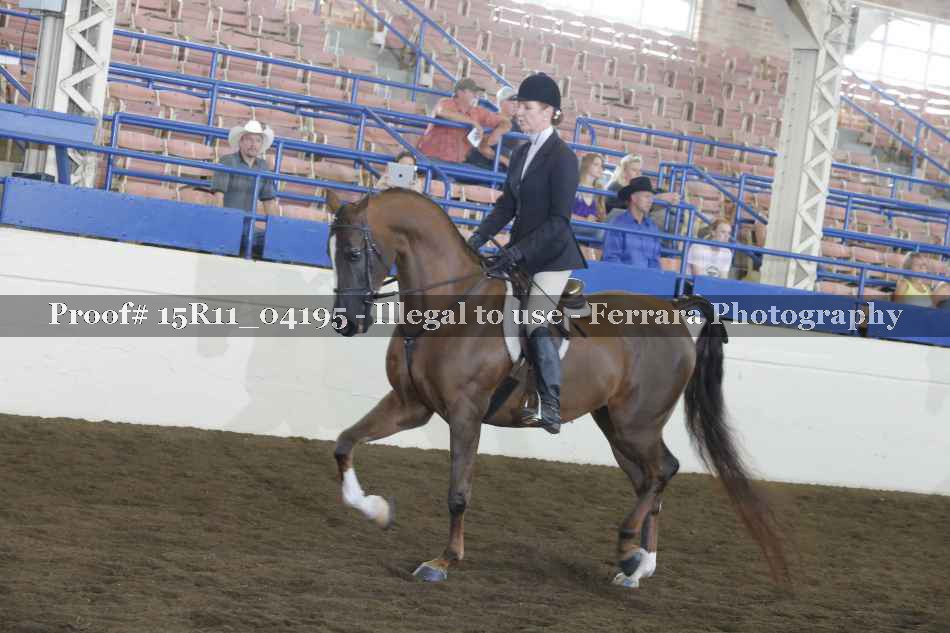 Proof 15R11_04195