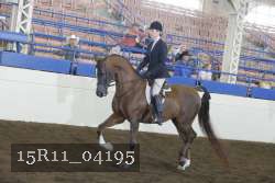 15R11_04195 proof