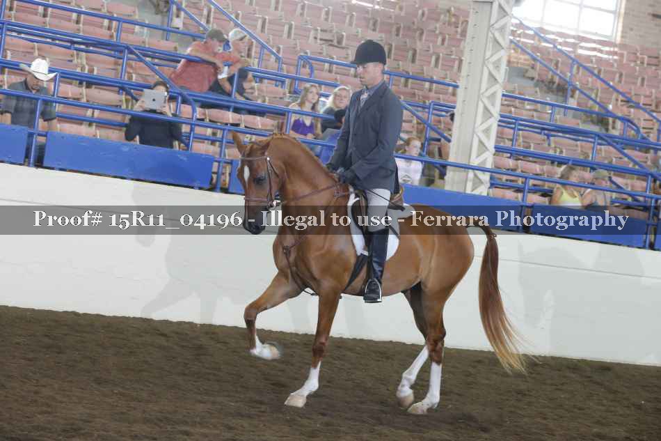 Proof 15R11_04196