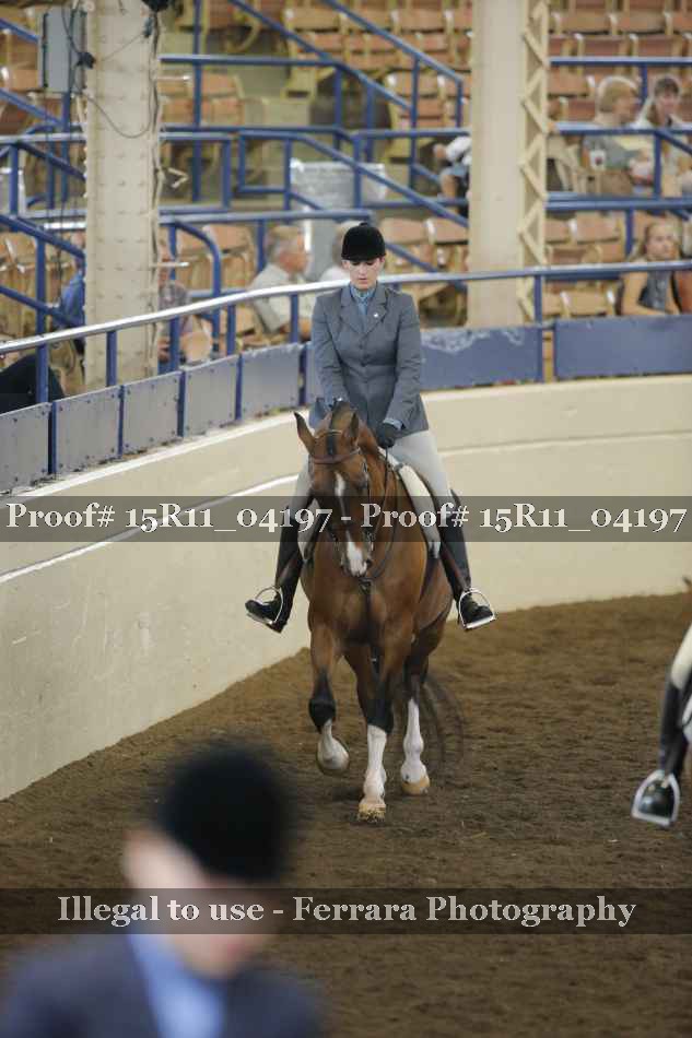 Proof 15R11_04197