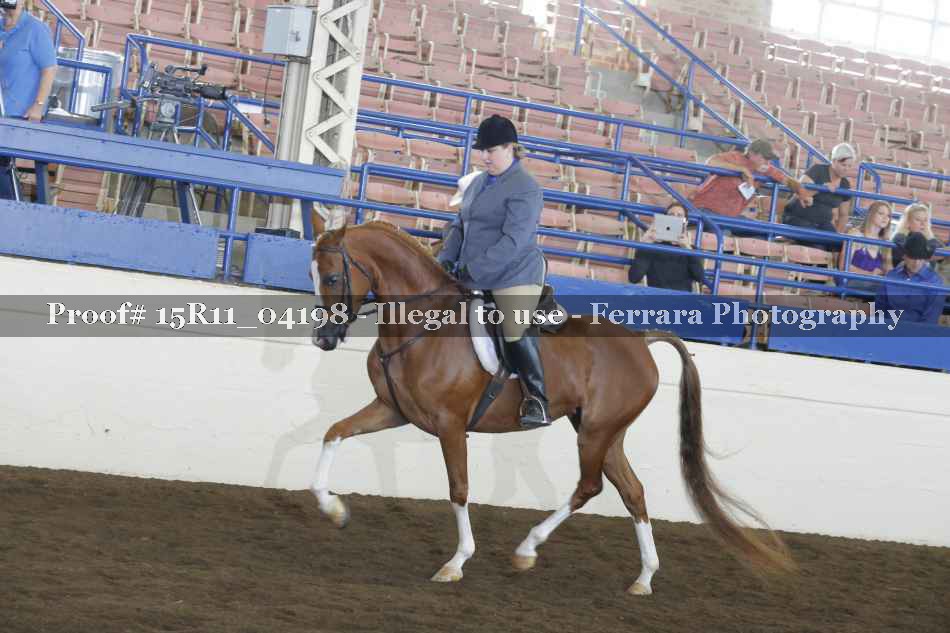 Proof 15R11_04198
