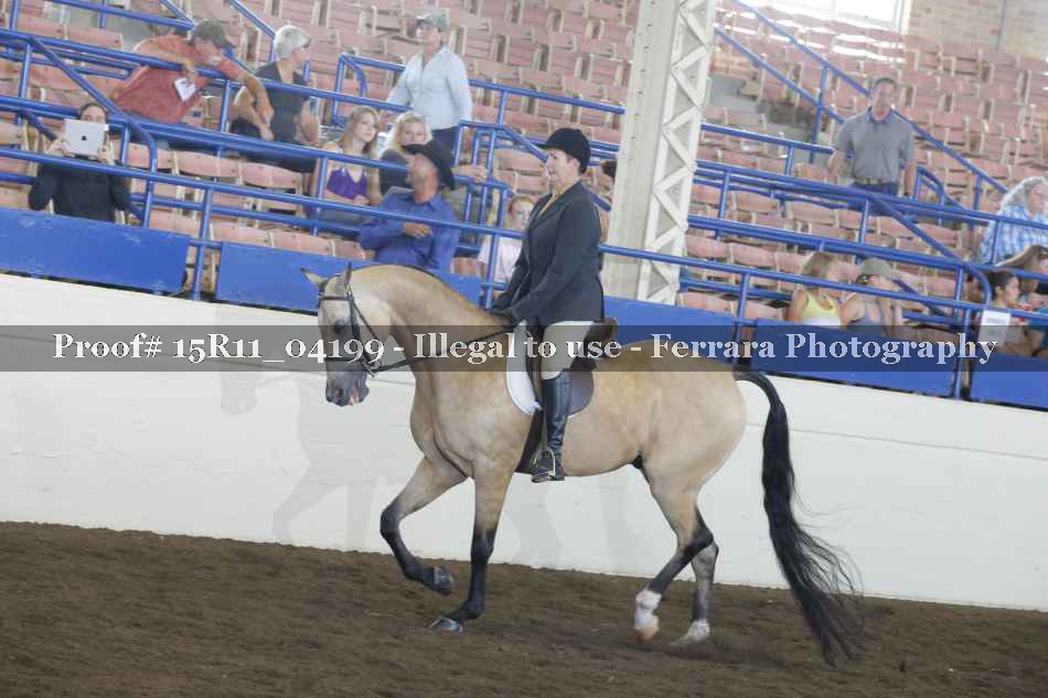 Proof 15R11_04199