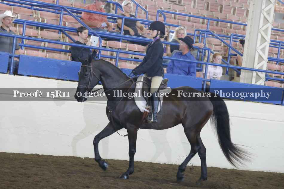 Proof 15R11_04200