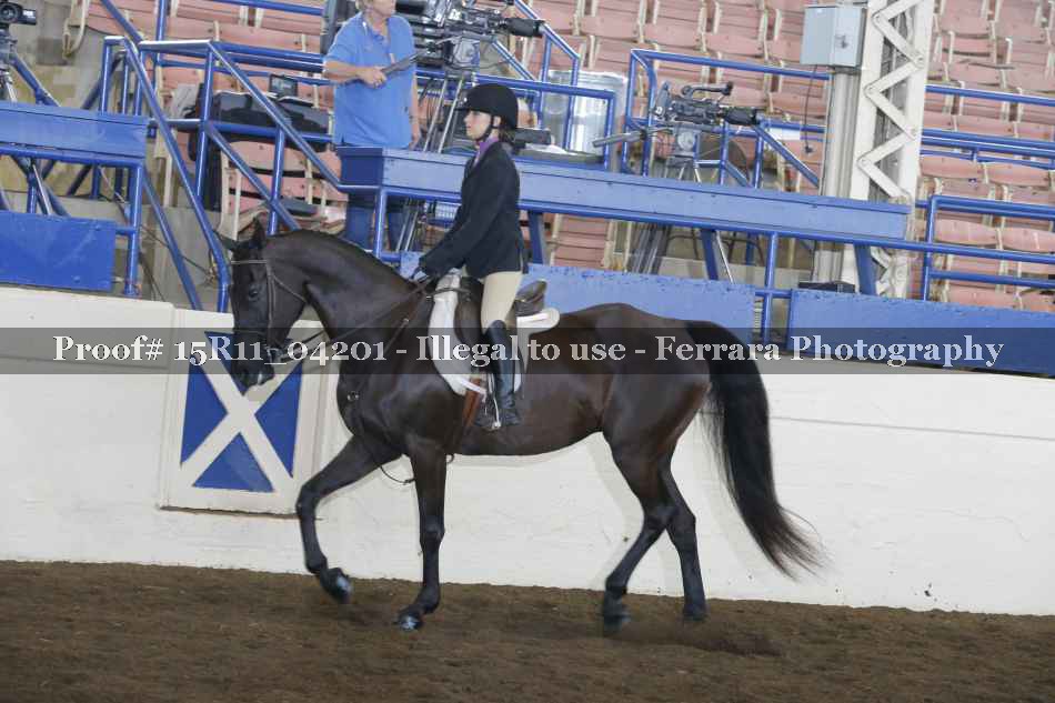 Proof 15R11_04201