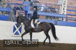 15R11_04201 proof