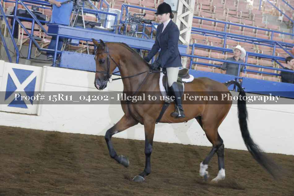 Proof 15R11_04202