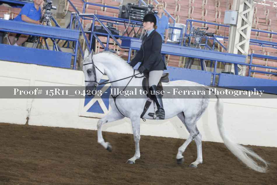 Proof 15R11_04203